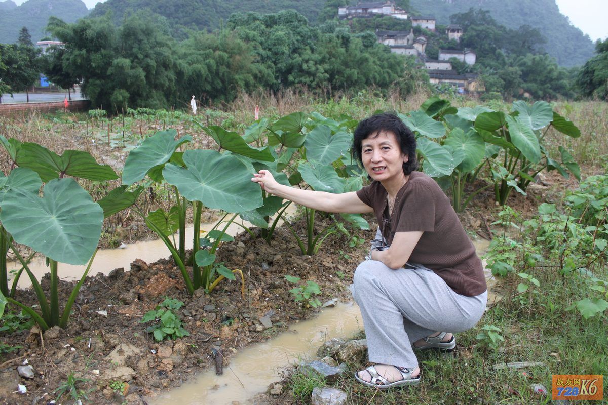点击在新窗口查看原始图片