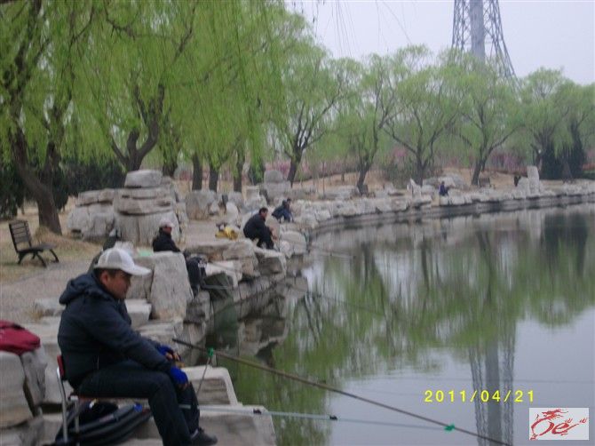 点击在新窗口查看原始图片
