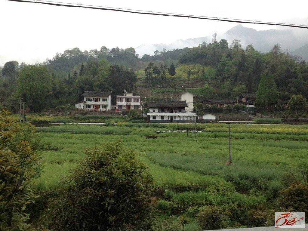 点击在新窗口查看原始图片