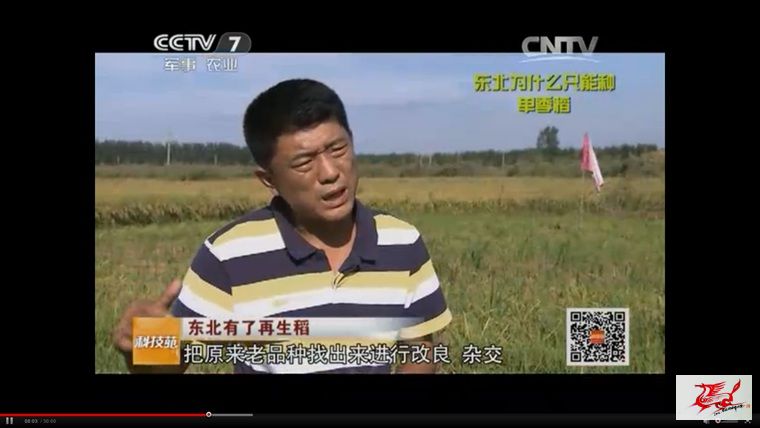 点击在新窗口查看原始图片