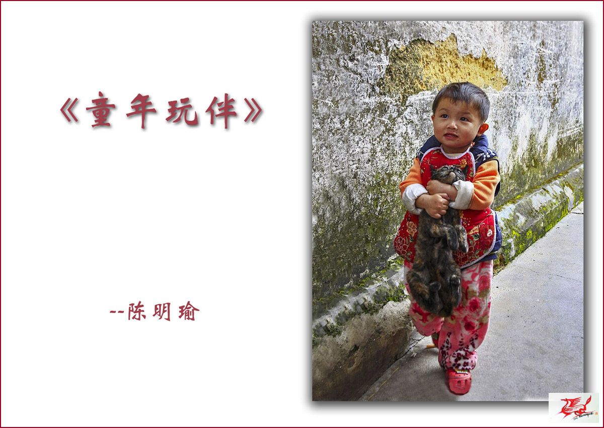 点击在新窗口查看原始图片