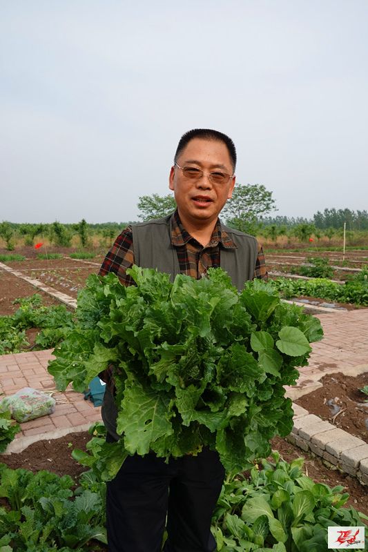 点击在新窗口查看原始图片