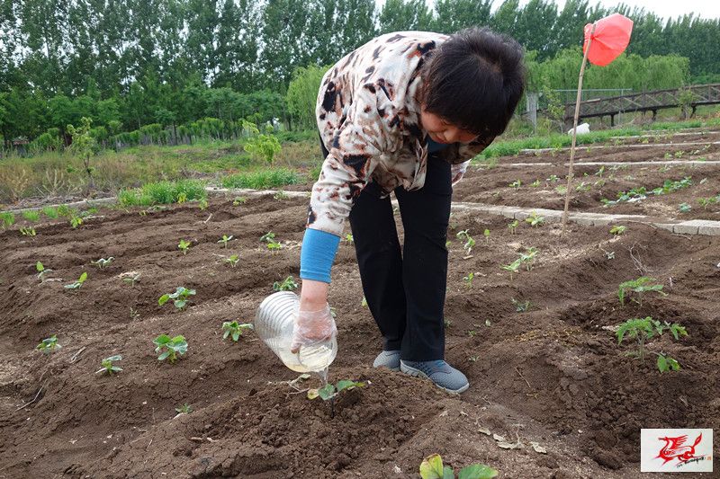 点击在新窗口查看原始图片