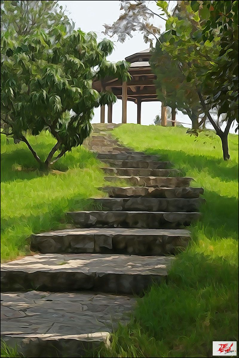 点击在新窗口查看原始图片
